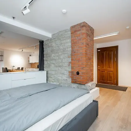 Cozy In The Center Of Apartmán Tallinn